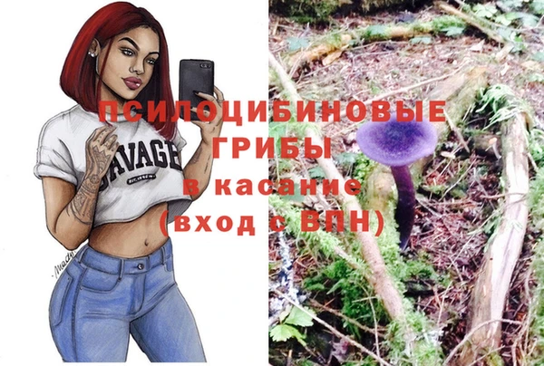 ешки Бугульма