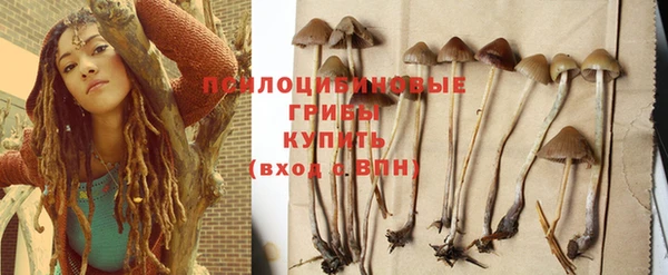 mdma Бородино